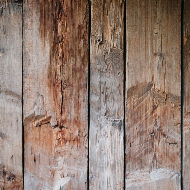 Wood Tomato Cold