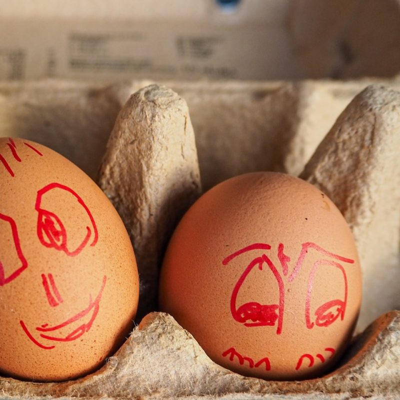 Egg