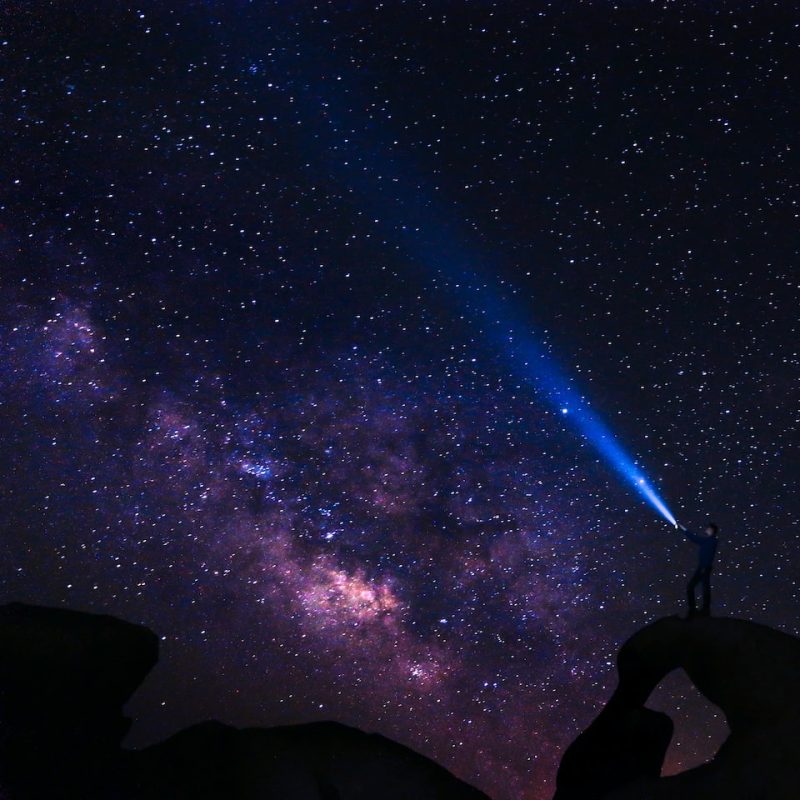 Galaxy Chicken Lamb
